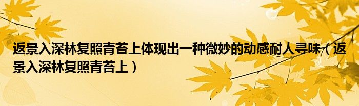 返景入深林复照青苔上体现出一种微妙的动感耐人寻味（返景入深林复照青苔上）