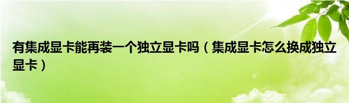 有集成显卡能再装一个独立显卡吗（集成显卡怎么换成独立显卡）