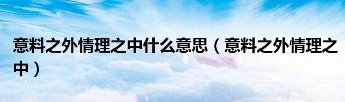 意料之外情理之中什么意思（意料之外情理之中）