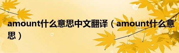 amount什么意思中文翻译（amount什么意思）