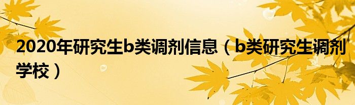 2020年研究生b类调剂信息（b类研究生调剂学校）