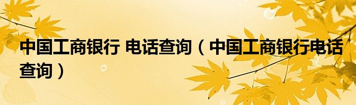 中国工商银行 电话查询（中国工商银行电话查询）
