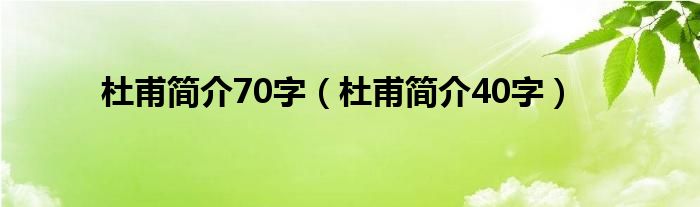 杜甫简介70字（杜甫简介40字）