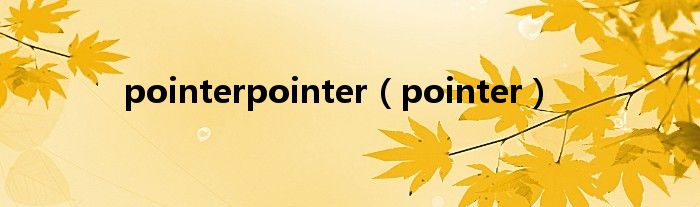 pointerpointer（pointer）