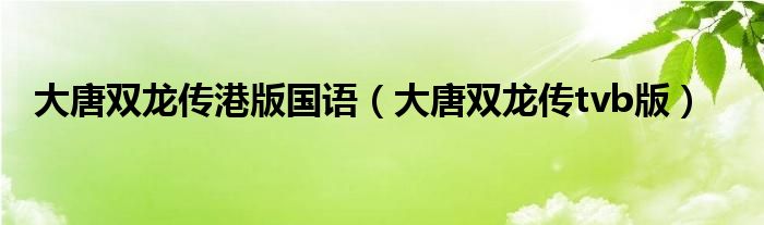 大唐双龙传港版国语（大唐双龙传tvb版）