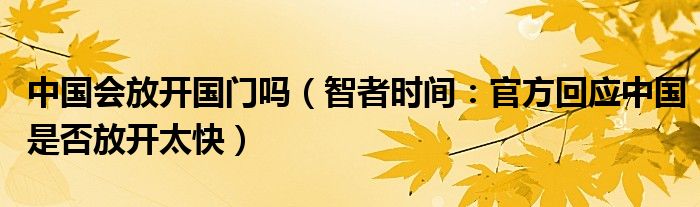 中国会放开国门吗（智者时间：官方回应中国是否放开太快）