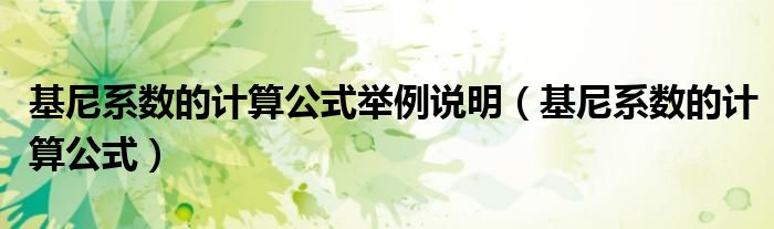 基尼系数的计算公式举例说明（基尼系数的计算公式）
