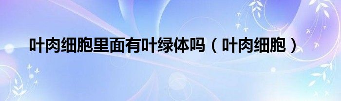 叶肉细胞里面有叶绿体吗（叶肉细胞）