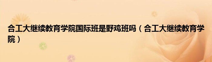 合工大继续教育学院国际班是野鸡班吗（合工大继续教育学院）
