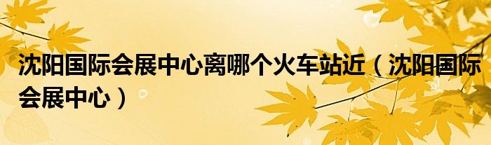 沈阳国际会展中心离哪个火车站近（沈阳国际会展中心）
