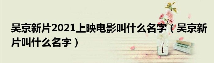 吴京新片2021上映电影叫什么名字（吴京新片叫什么名字）