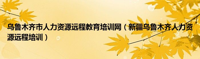 乌鲁木齐市人力资源远程教育培训网（新疆乌鲁木齐人力资源远程培训）