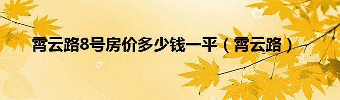 霄云路8号房价多少钱一平（霄云路）