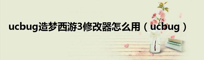 ucbug造梦西游3修改器怎么用（ucbug）