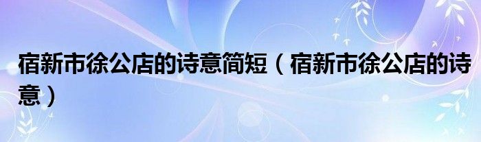 宿新市徐公店的诗意简短（宿新市徐公店的诗意）