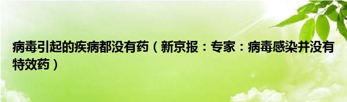 病毒引起的疾病都没有药（新京报：专家：病毒感染并没有特效药）