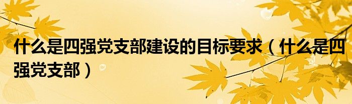 什么是四强党支部建设的目标要求（什么是四强党支部）