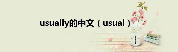 usually的中文（usual）
