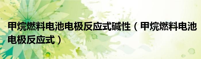 甲烷燃料电池电极反应式碱性（甲烷燃料电池电极反应式）