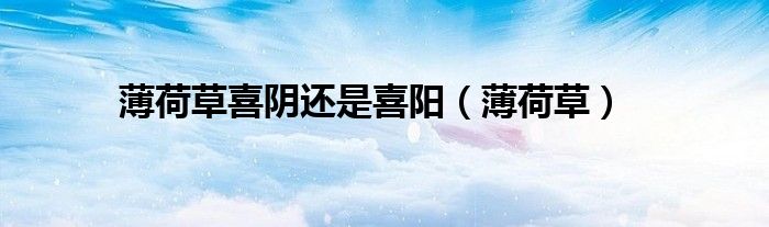 薄荷草喜阴还是喜阳（薄荷草）