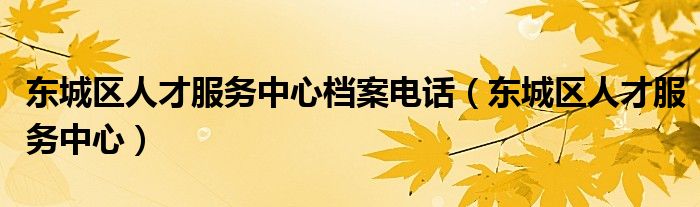 东城区人才服务中心档案电话（东城区人才服务中心）