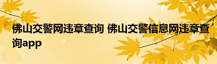 佛山交警网违章查询 佛山交警信息网违章查询app