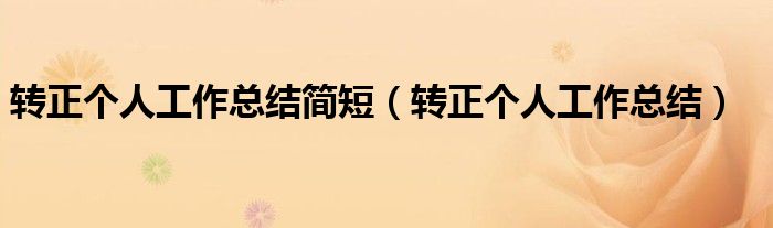 转正个人工作总结简短（转正个人工作总结）