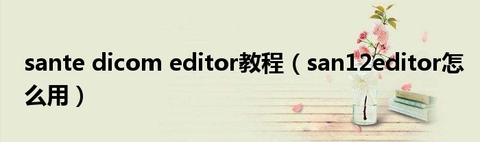 sante dicom editor教程（san12editor怎么用）