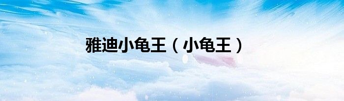 雅迪小龟王（小龟王）