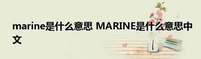 marine是什么意思 MARINE是什么意思中文