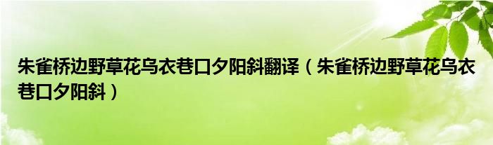 朱雀桥边野草花乌衣巷口夕阳斜翻译（朱雀桥边野草花乌衣巷口夕阳斜）