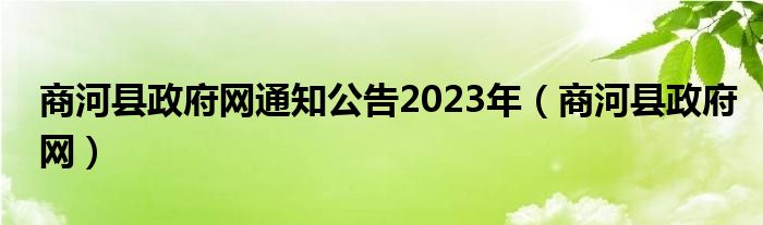 商河县政府网通知公告2023年（商河县政府网）