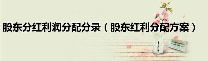 股东分红利润分配分录（股东红利分配方案）