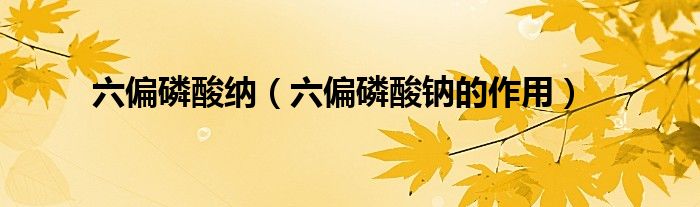 六偏磷酸纳（六偏磷酸钠的作用）