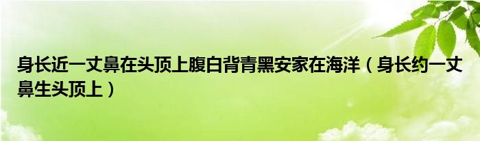 身长近一丈鼻在头顶上腹白背青黑安家在海洋（身长约一丈鼻生头顶上）