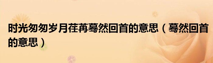 时光匆匆岁月荏苒蓦然回首的意思（蓦然回首的意思）