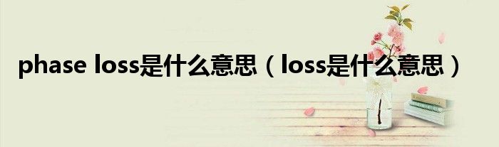 phase loss是什么意思（loss是什么意思）