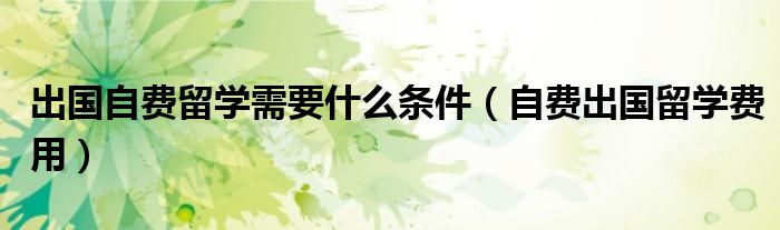 出国自费留学需要什么条件（自费出国留学费用）