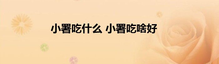小署吃什么 小署吃啥好