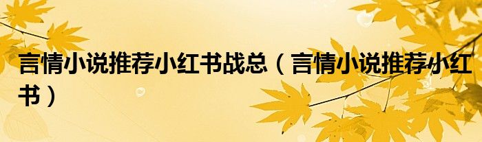 言情小说推荐小红书战总（言情小说推荐小红书）