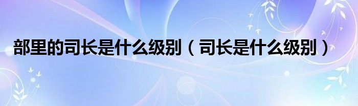 部里的司长是什么级别（司长是什么级别）
