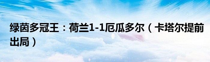 绿茵多冠王：荷兰1-1厄瓜多尔（卡塔尔提前出局）