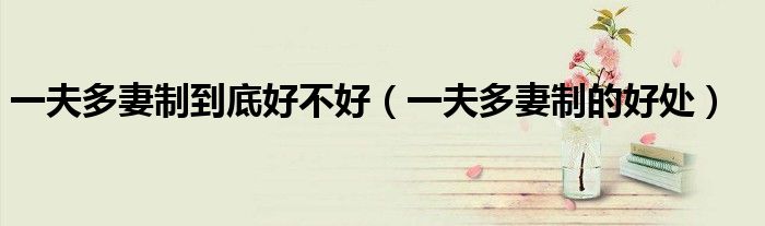 一夫多妻制到底好不好（一夫多妻制的好处）