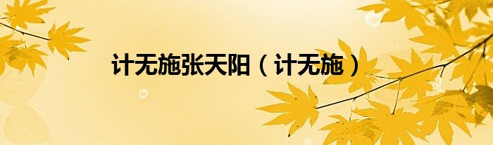 计无施张天阳（计无施）