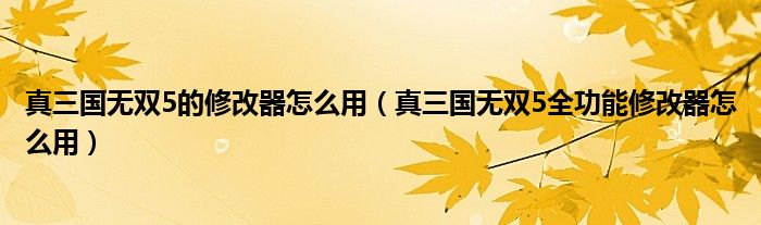 真三国无双5的修改器怎么用（真三国无双5全功能修改器怎么用）
