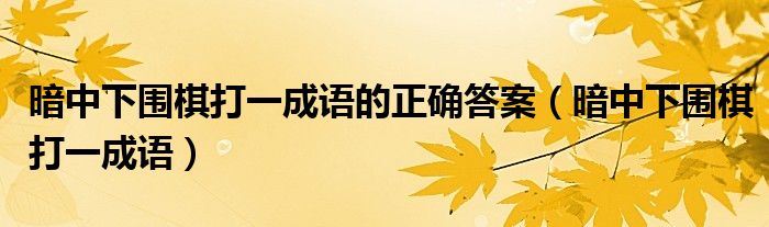 暗中下围棋打一成语的正确答案（暗中下围棋打一成语）