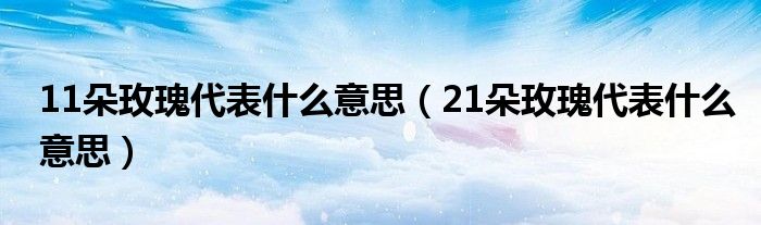 11朵玫瑰代表什么意思（21朵玫瑰代表什么意思）