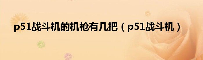 p51战斗机的机枪有几把（p51战斗机）