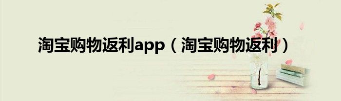 淘宝购物返利app（淘宝购物返利）