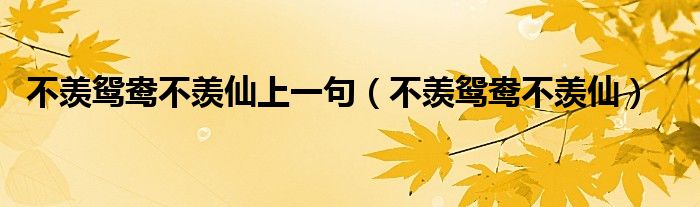 不羡鸳鸯不羡仙上一句（不羡鸳鸯不羡仙）